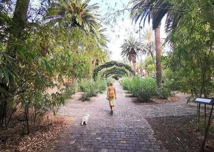 Home2book Sea Front Teresitas 2